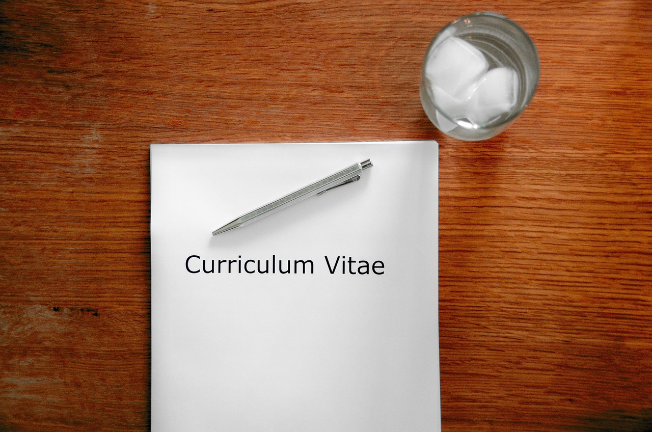 curriculum efficace