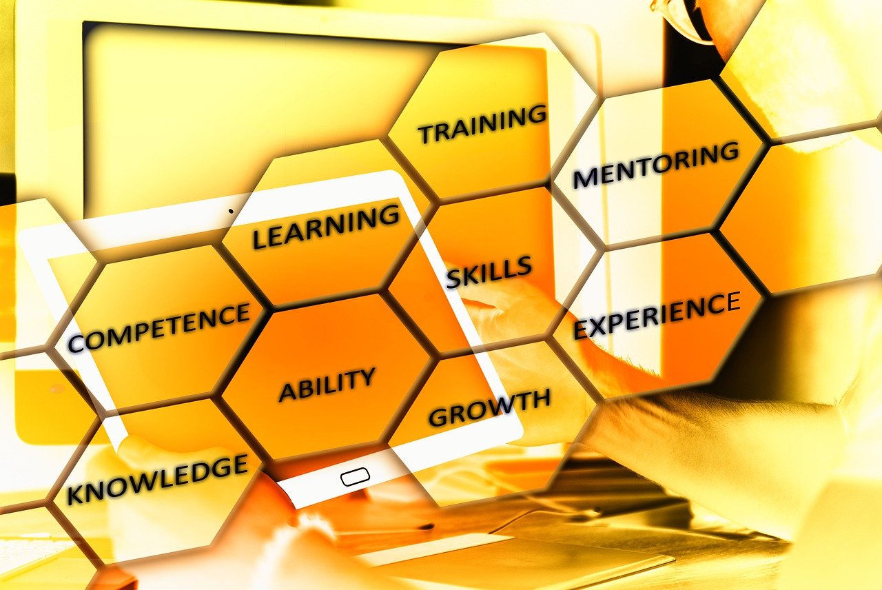 hard skills e curriculum