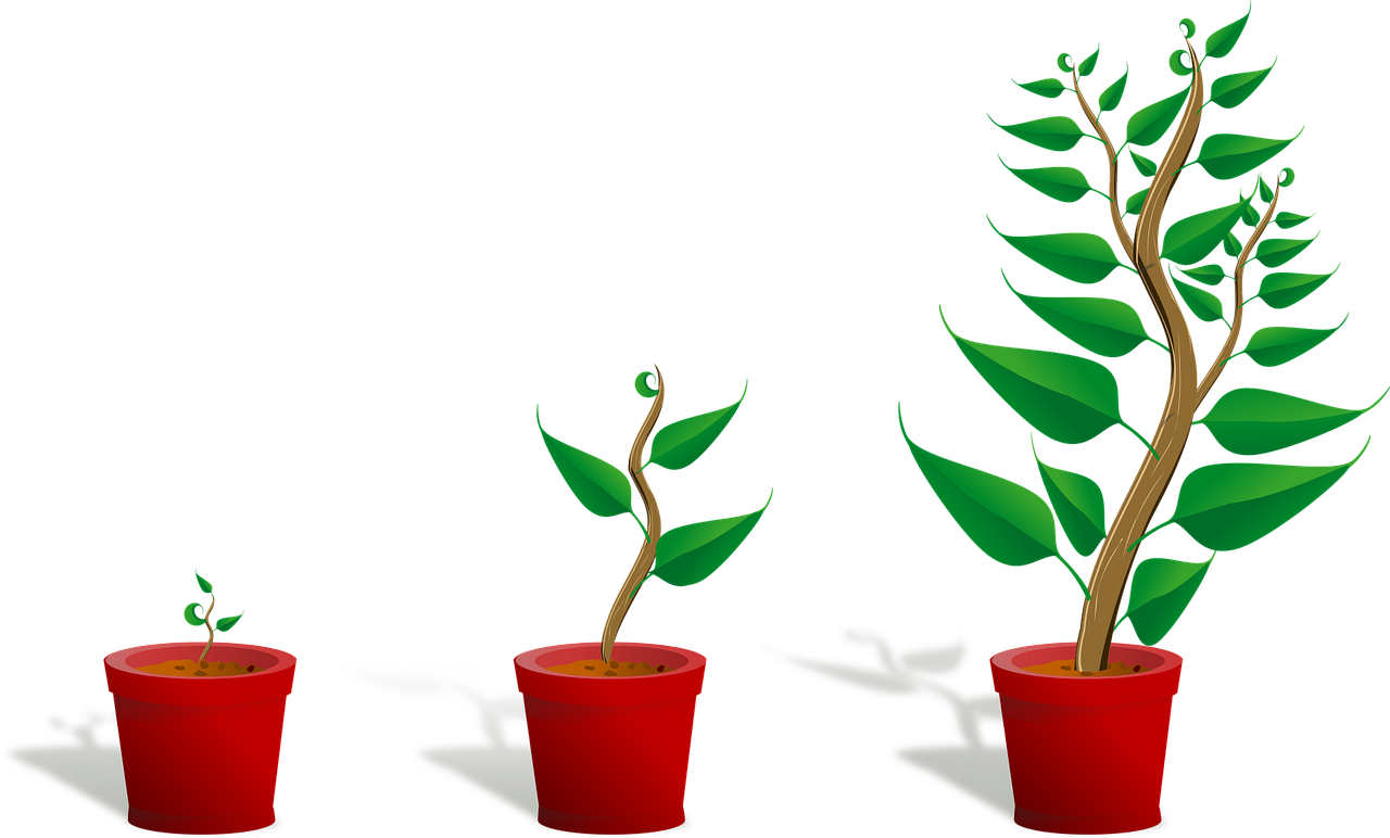 Livelli Metalmeccanici