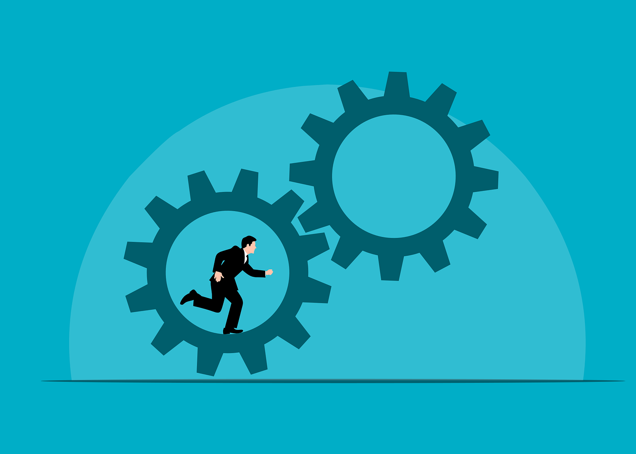 Esperienze lavorative nel CV